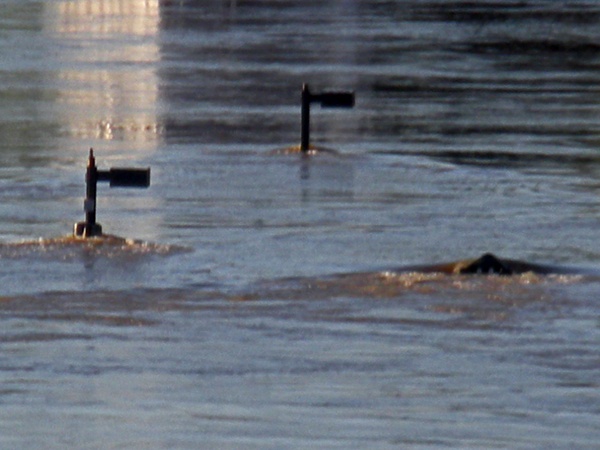 Flood guage, May 4, 2010